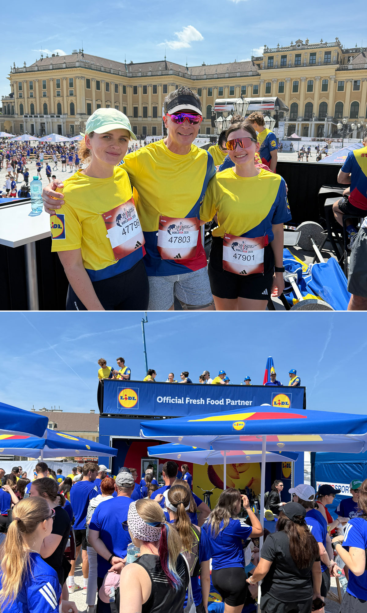 Projektumsetzung und Teamgeisterlebnis mit Lidl